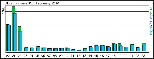 Hourly usage