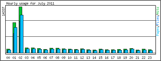 Hourly usage