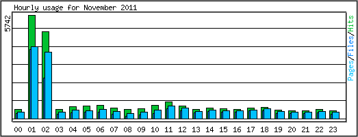 Hourly usage