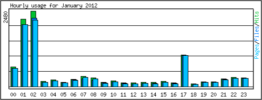 Hourly usage