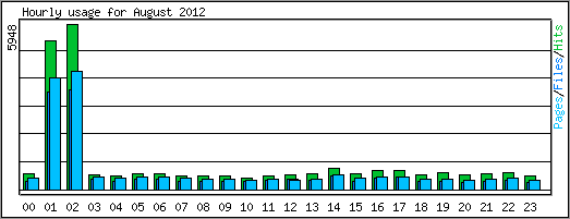 Hourly usage