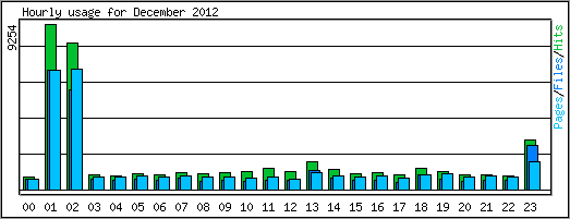 Hourly usage