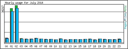 Hourly usage