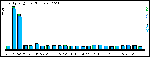 Hourly usage