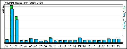 Hourly usage