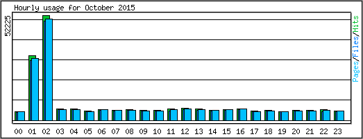 Hourly usage