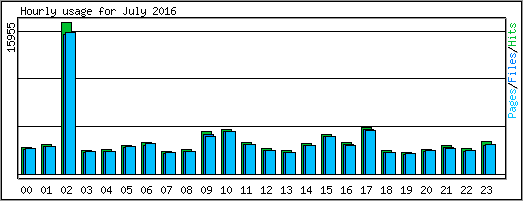 Hourly usage