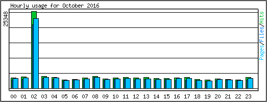 Hourly usage