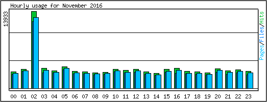 Hourly usage