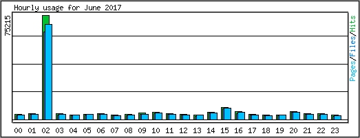 Hourly usage