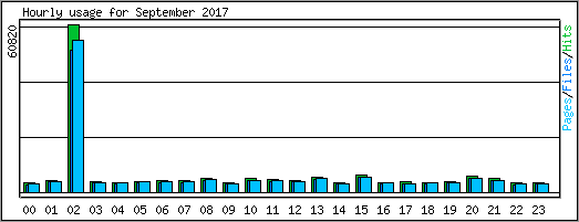 Hourly usage