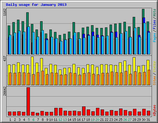 Daily usage for January 2013