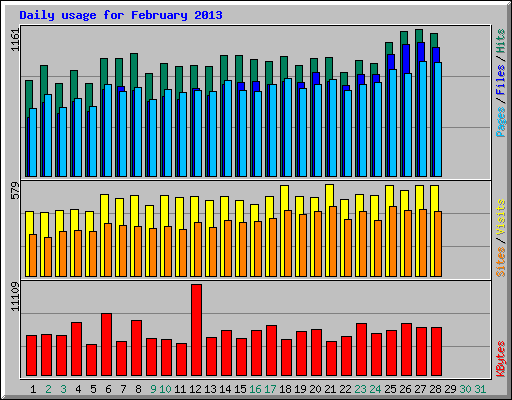 Daily usage for February 2013