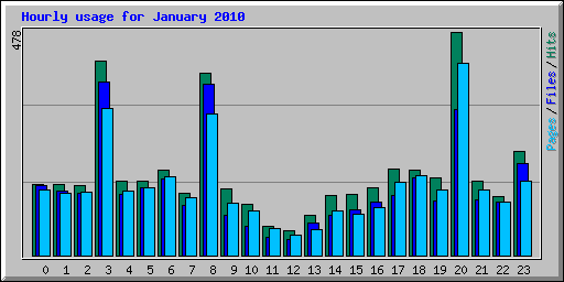 Hourly usage for January 2010