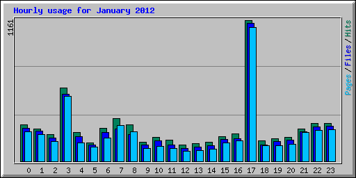 Hourly usage for January 2012