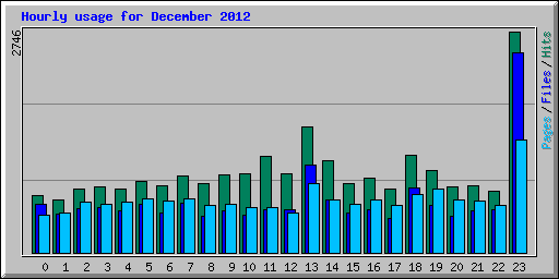 Hourly usage for December 2012