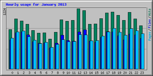 Hourly usage for January 2013