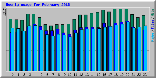 Hourly usage for February 2013