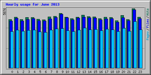 Hourly usage for June 2013