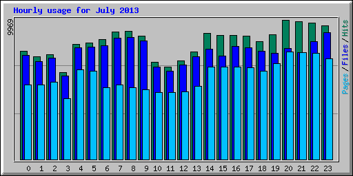 Hourly usage for July 2013