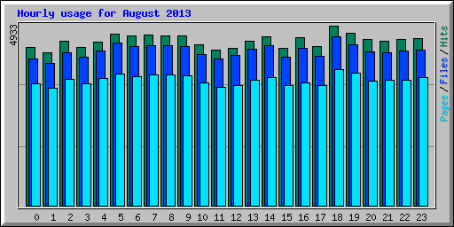 Hourly usage for August 2013