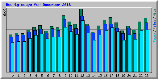 Hourly usage for December 2013