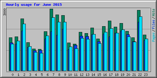 Hourly usage for June 2015