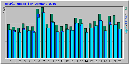 Hourly usage for January 2016