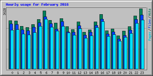 Hourly usage for February 2016