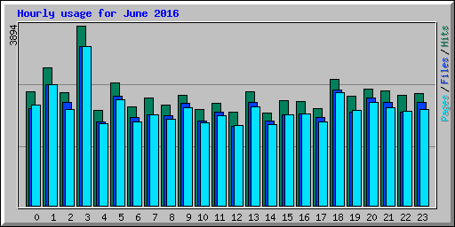 Hourly usage for June 2016