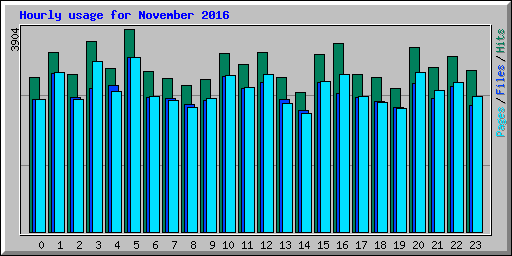 Hourly usage for November 2016