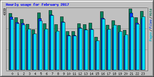 Hourly usage for February 2017